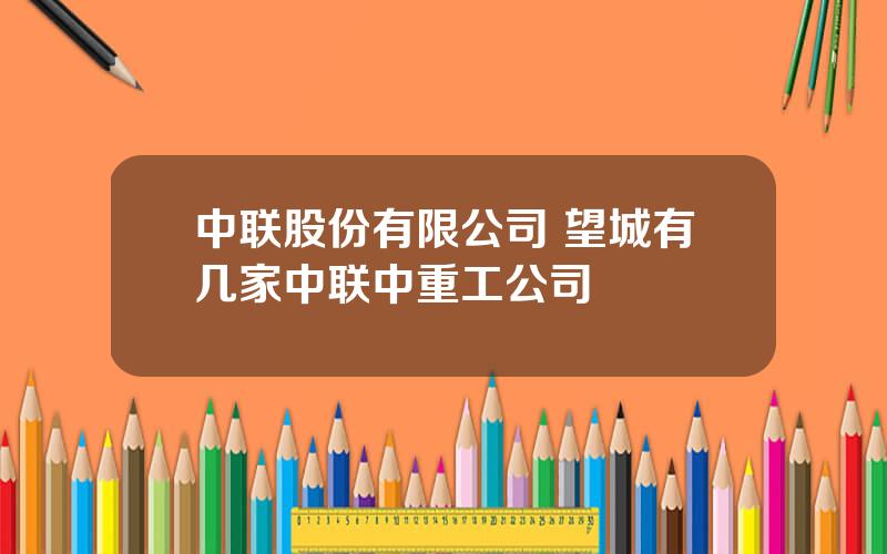 中联股份有限公司 望城有几家中联中重工公司